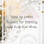 Learn How to Press Flowers for Framing Using Lovely Local Blooms