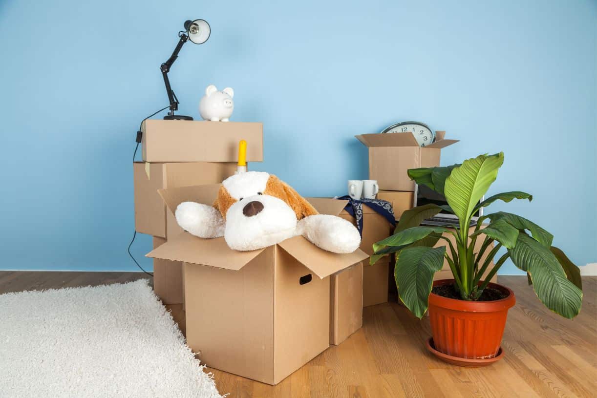 Comment désencombrer les souvenirs