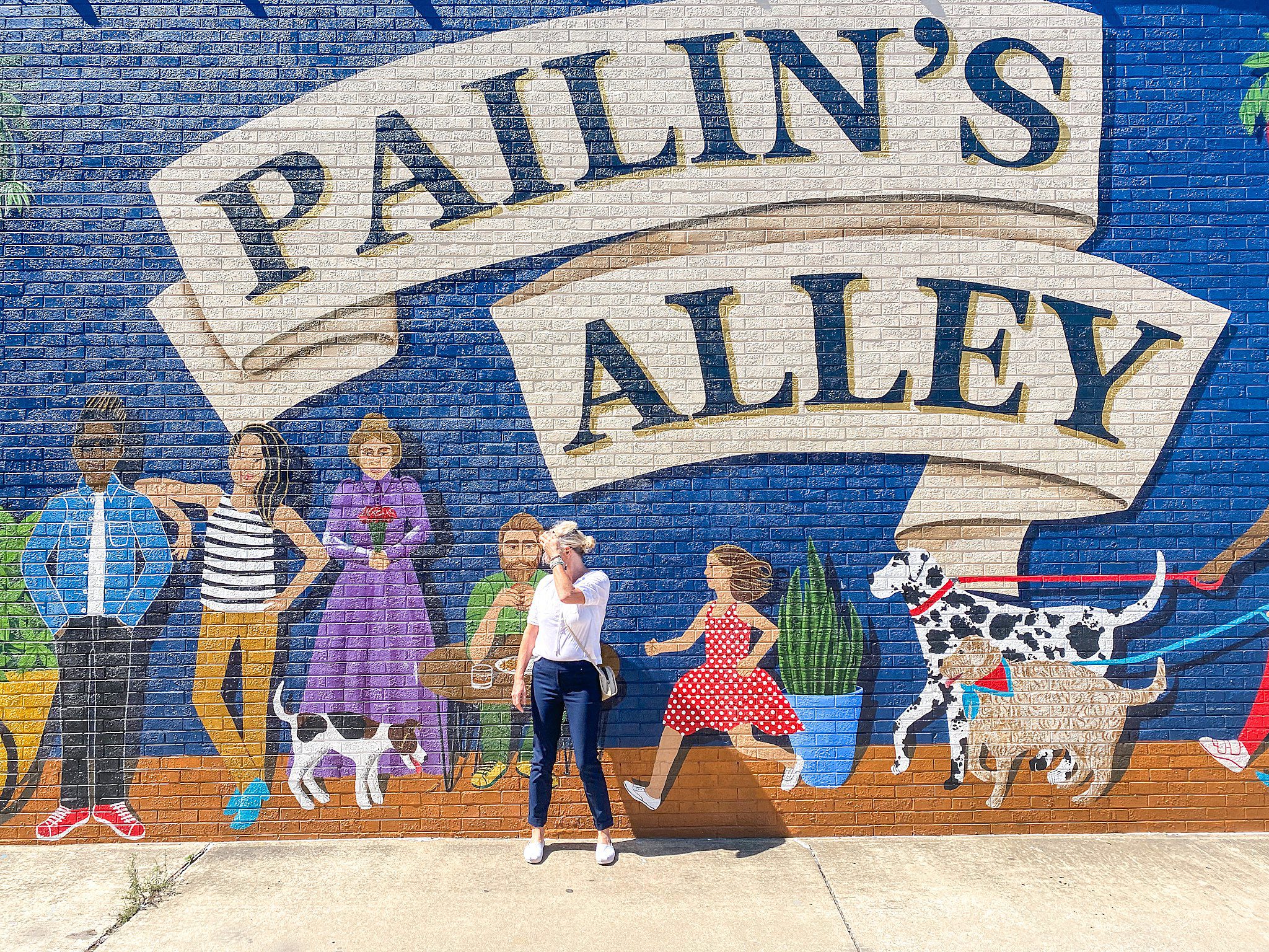 Pailins Alley Ville d'Elizabeth